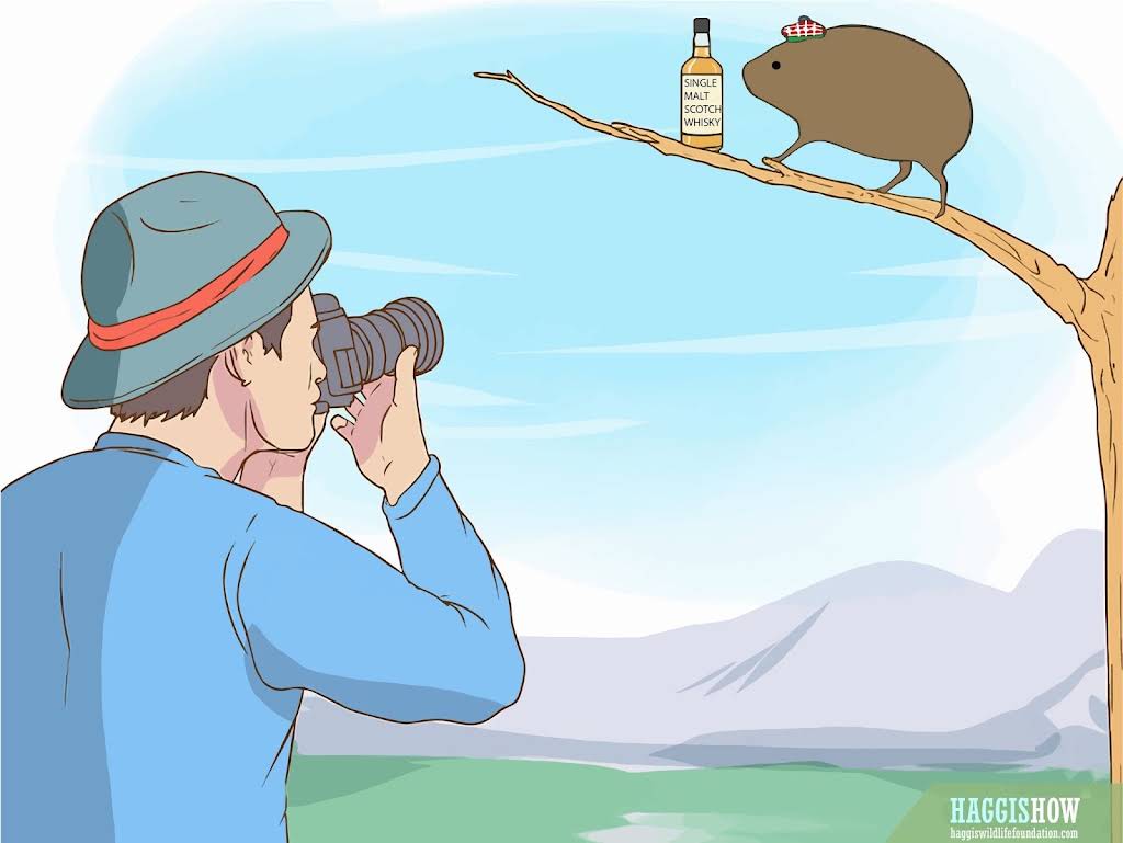 Smoke testing - Wild Haggis Conservation: The Clockwise & Anticlockwise Habitat Crisis